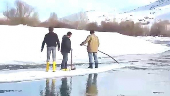 Bu görüntüler Doğu Karadeniz'den! Gölü bakın nasıl geçtiler...