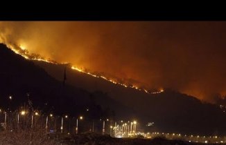 Trabzon'un ciğerleri yandı