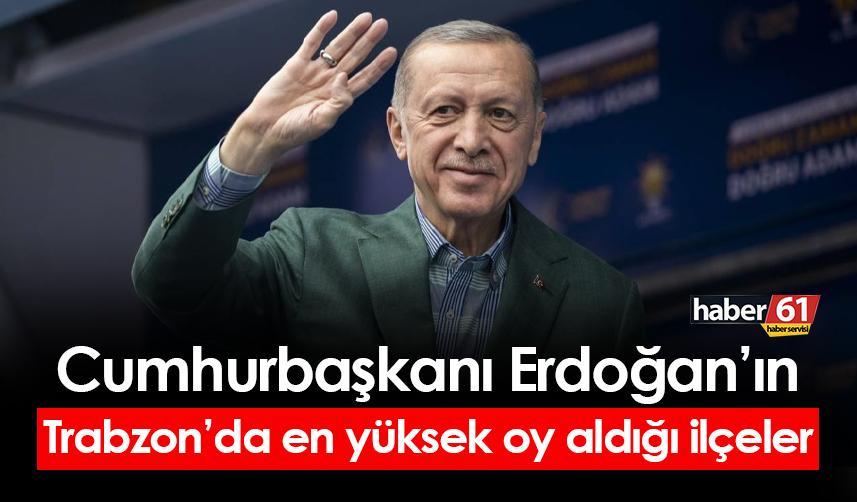 İşte Cumhurbaşkanı Erdoğan'ın Trabzon'da en yüksek oy aldığı ilçeler