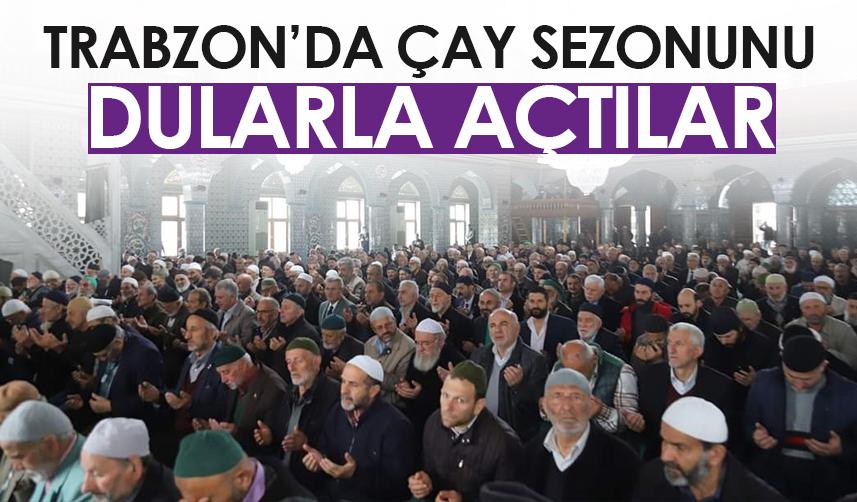 Çay sezonu Trabzon'da dualarla açıldı