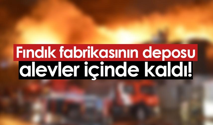 Giresun'da fındık fabrikasının deposu alevler içinde kaldı!