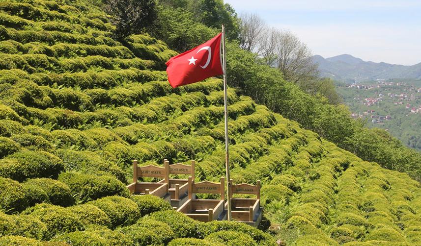 Giresun'da şehit mezarlarında düzenleme