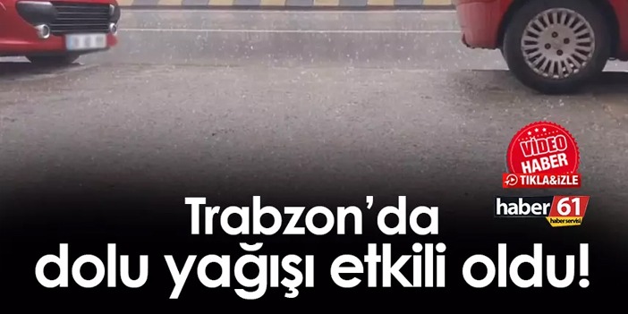 Trabzon'da dolu yağışı etkili oldu