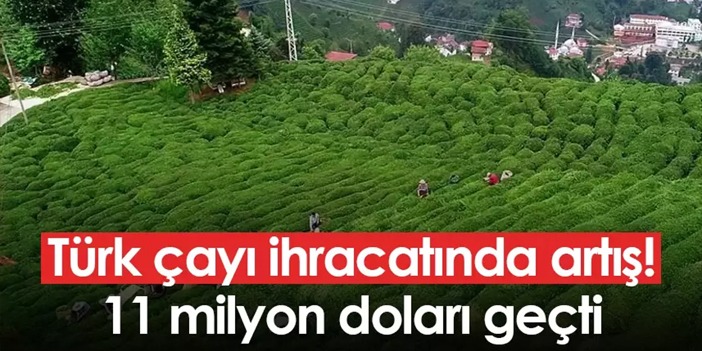 Türk çayı ihracatında artış! 11 milyon doları geçti