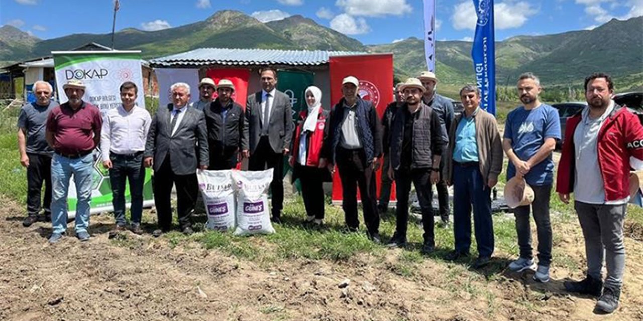 Gümüşhane'de karabuğday ekim sezonu başladı