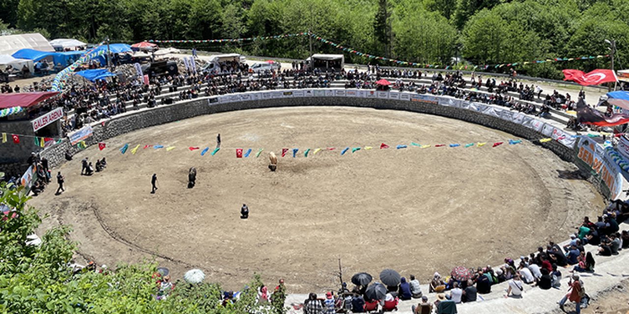 Rize'de kültür sanat ve doğa festivali yapıldı