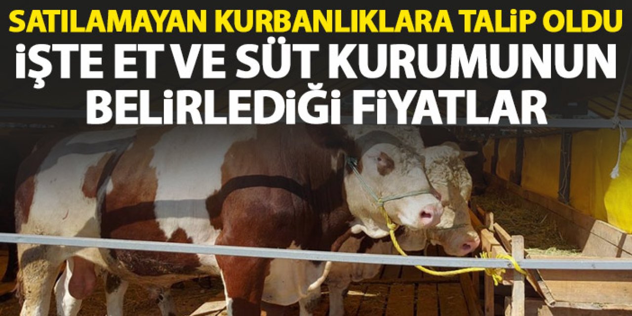 Satılamayan Kurbanlıklara talip oldu! İşte Et ve Süt Kurumu'nun belirlediği fiyatlar