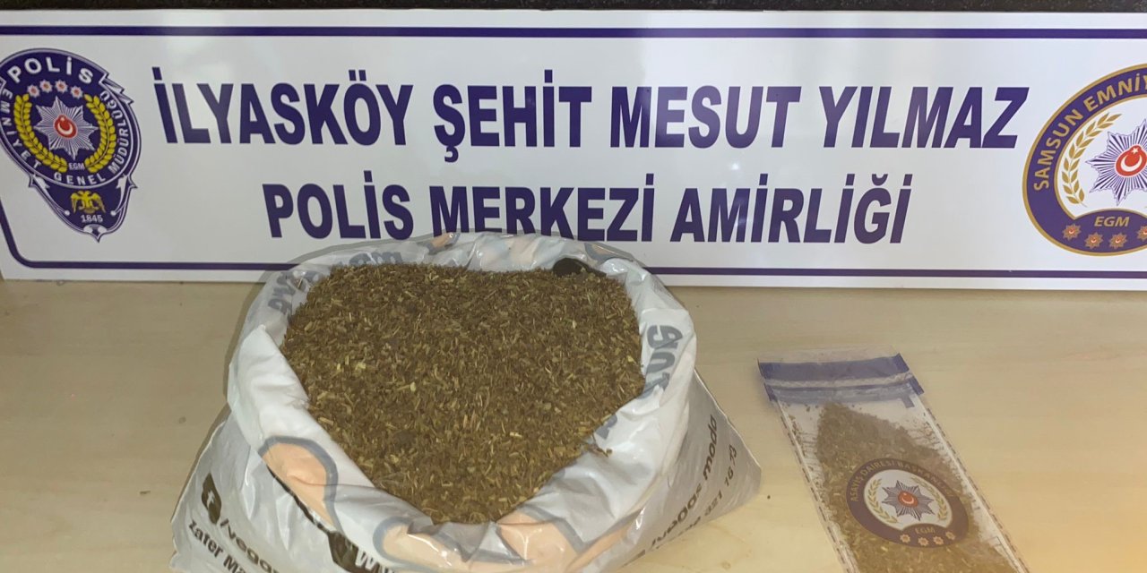 Samsun'da 1 kilo 172 gram bonzai ele geçti: 1 gözaltı