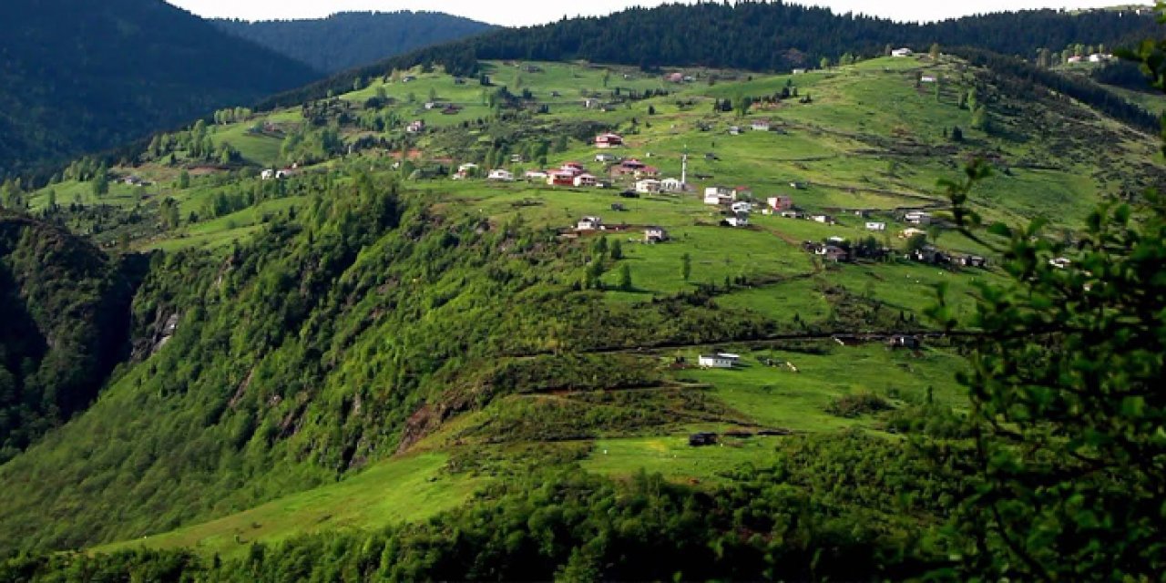 Trabzon'da yaylalara gideceklere uzmanından uyarı! "Sağlık sorunları artabilir..."