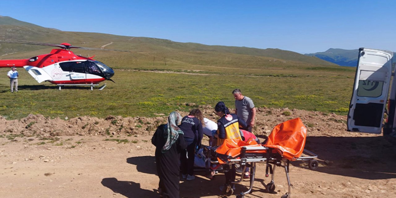 Trabzon'da yaylada rahatsızlanan hasta ambulans helikopterle hastaneye ulaştırıldı