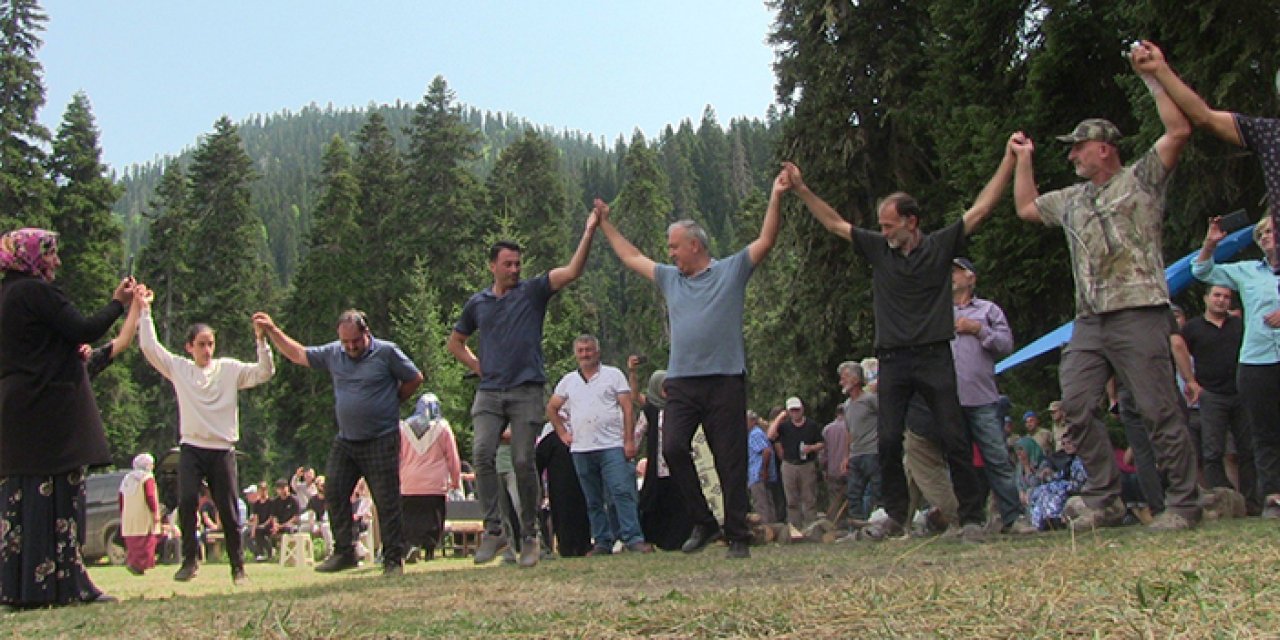 Artvin'de yayla şenliklerinde Kafkas arı ırkı ve ürünleri tanıtıldı