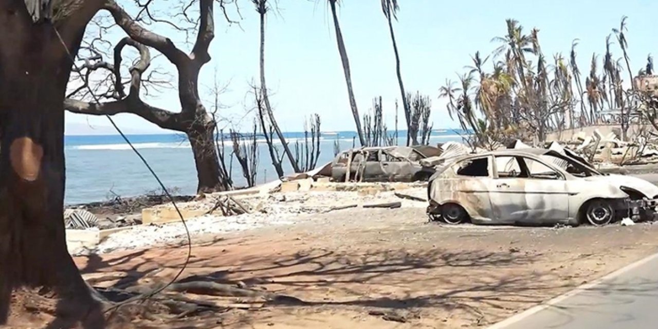 Hawaii'deki orman yangınlarında ölü sayısı artıyor