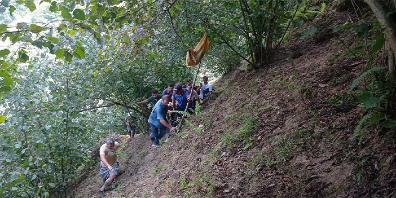 Giresun'da fındık toplarken 30 metrelik yamaçtan yuvarlandı!