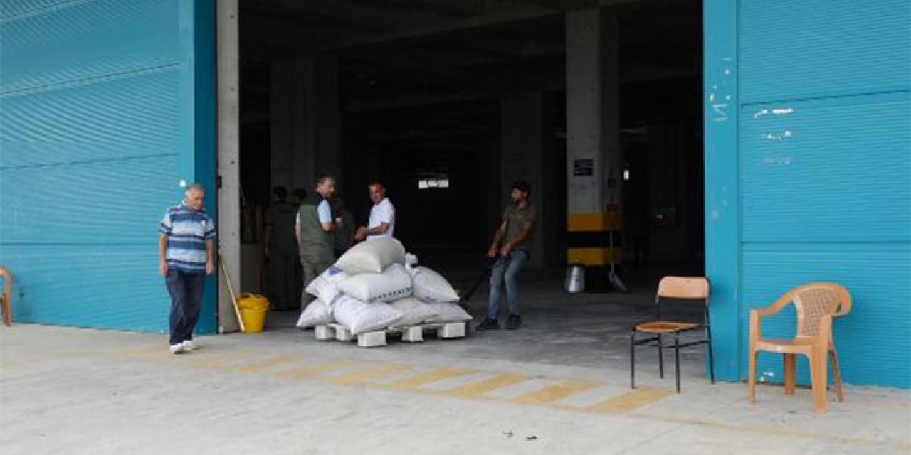 Trabzon'da TMO fındık alımları başladı