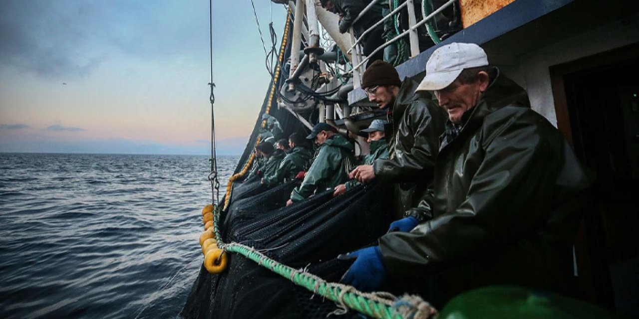 Denizde av sezonu başlıyor! Palamut sevenlere kötü haber