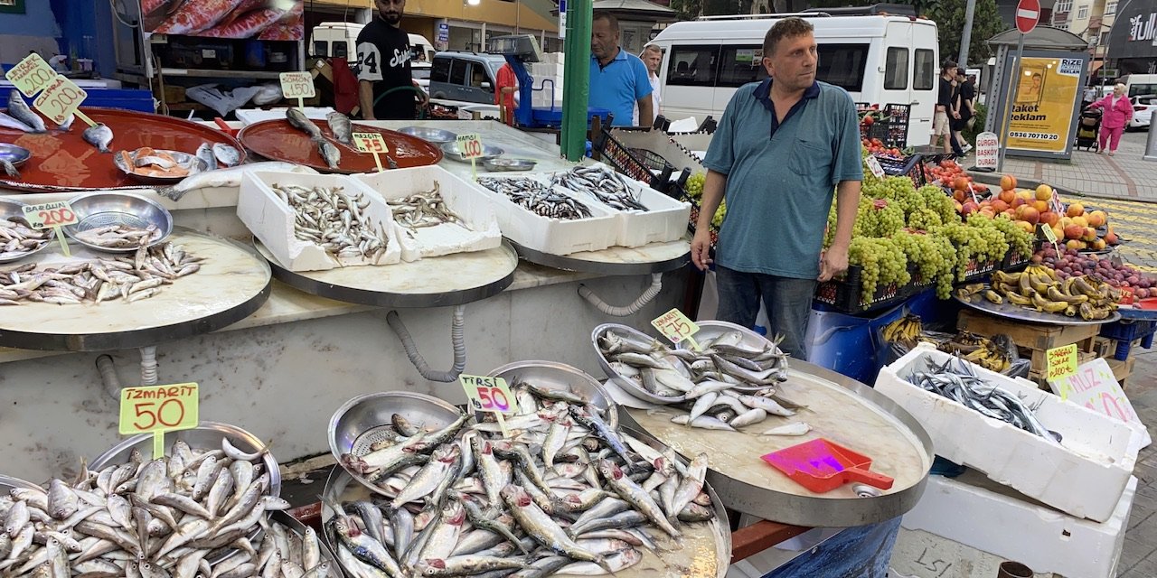 Rize'de istavrit ve Hamsi fiyatı ne kadar?