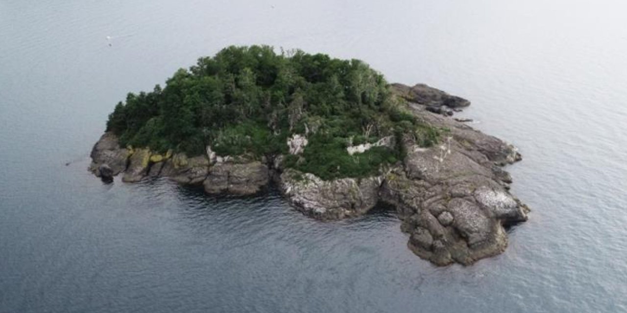 Giresun Adası'na çılgın proje! "Dünyada ikinci proje olacak..."