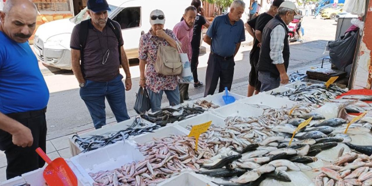 Samsun'da balıkçı tezgahının bu sezonki starı 'hamsi'