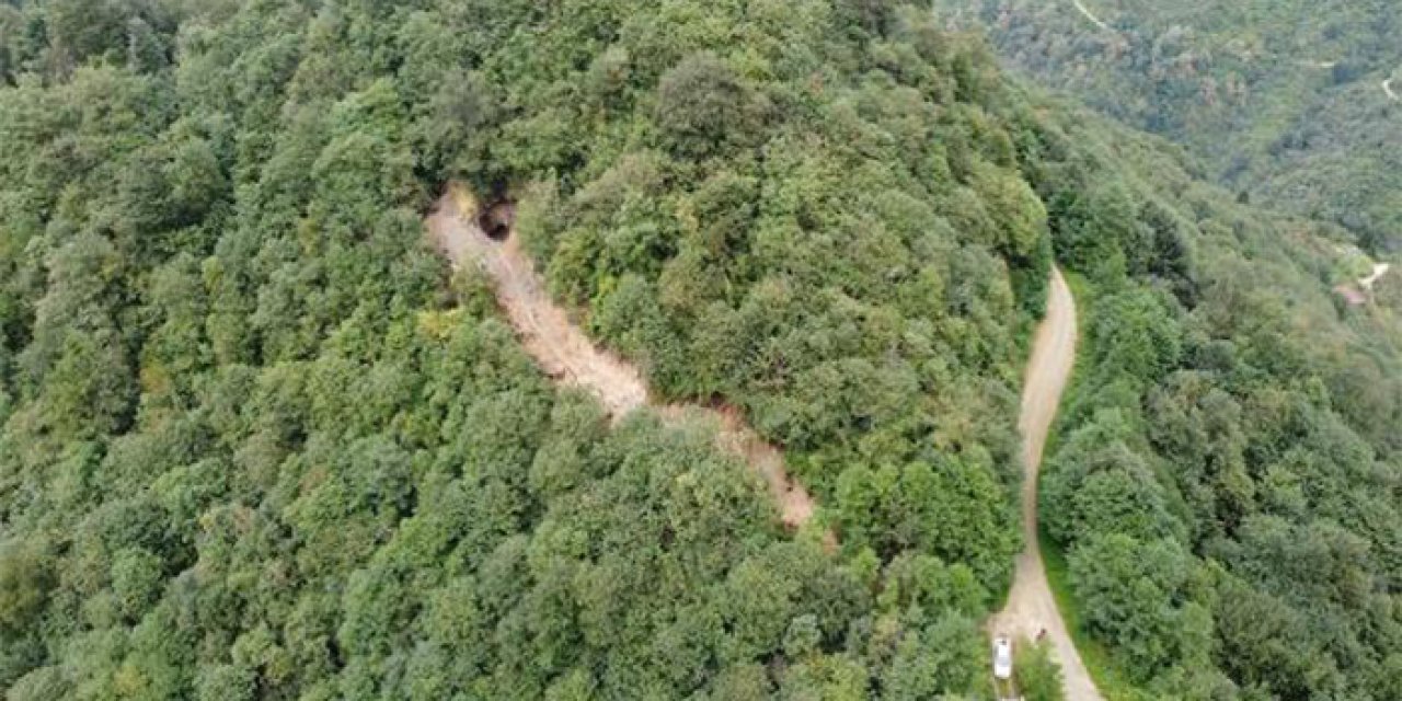 Trabzon'da define için ormana yol açtılar!