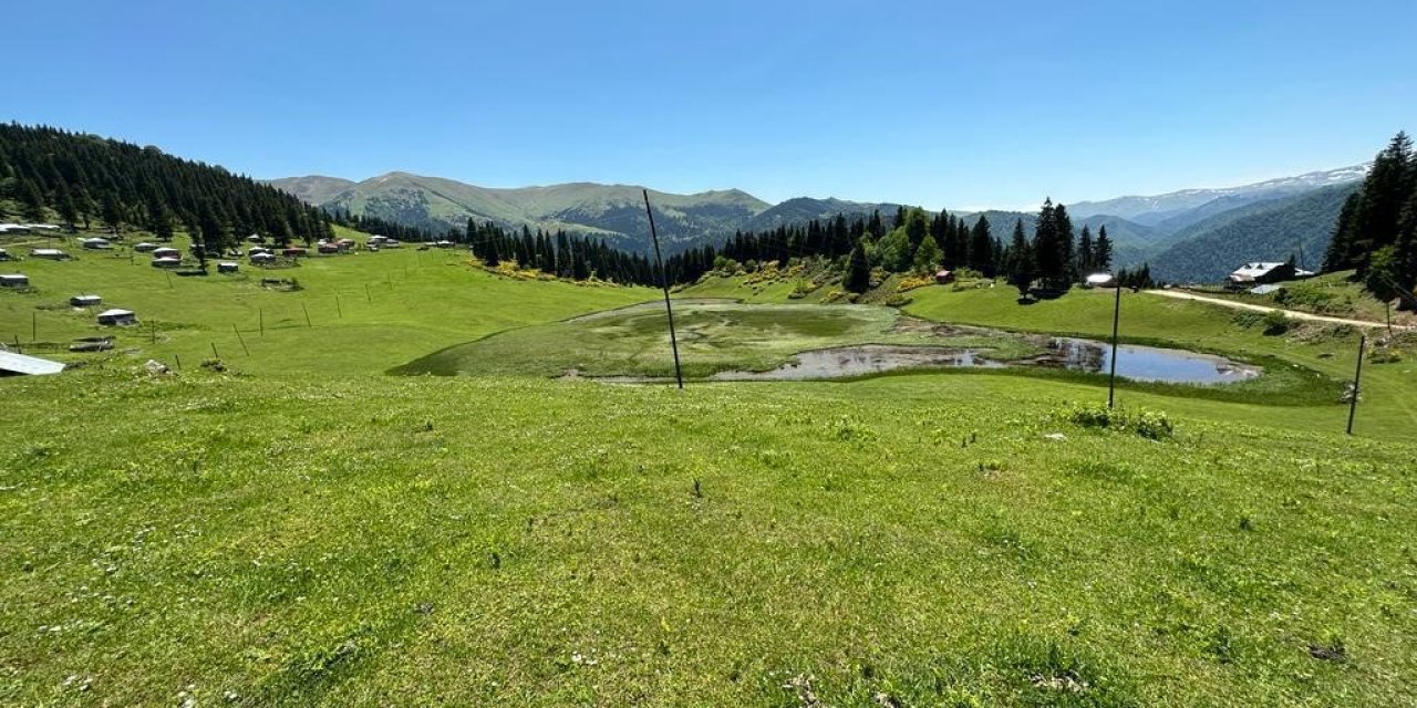 Giresun'da yayladaki göl kurumasın diye su bağladılar