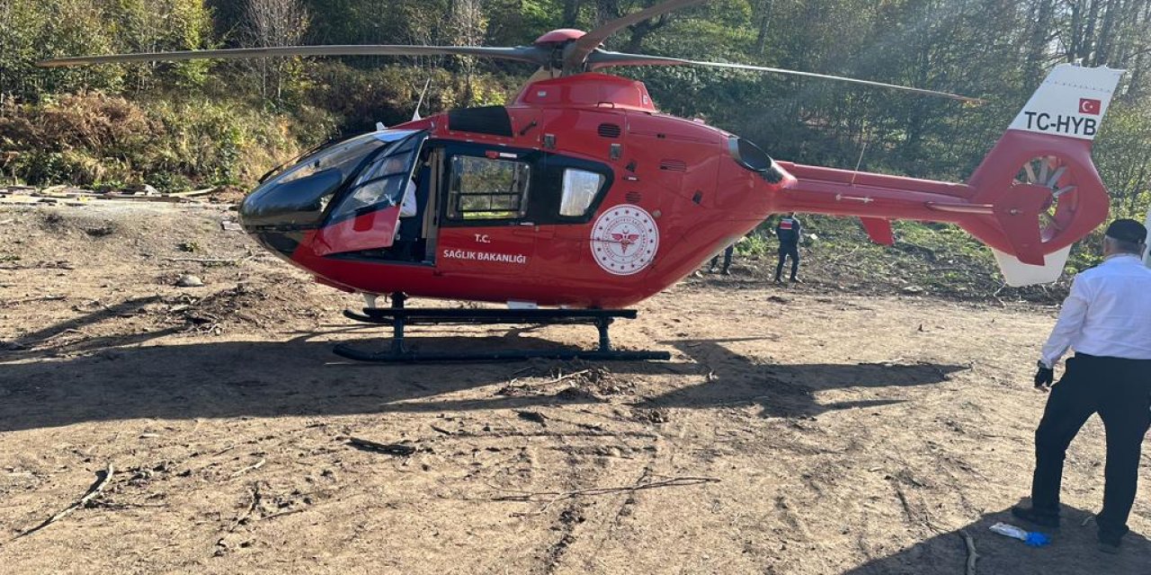 Kestane toplarken uçuruma düştü! İmdadına hava ambulansı yetişti