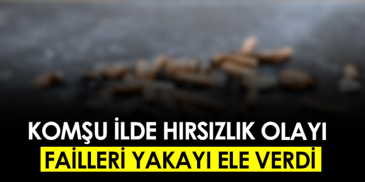 Giresun'da hırsızlık olayı! Failler yakayı ele verdi