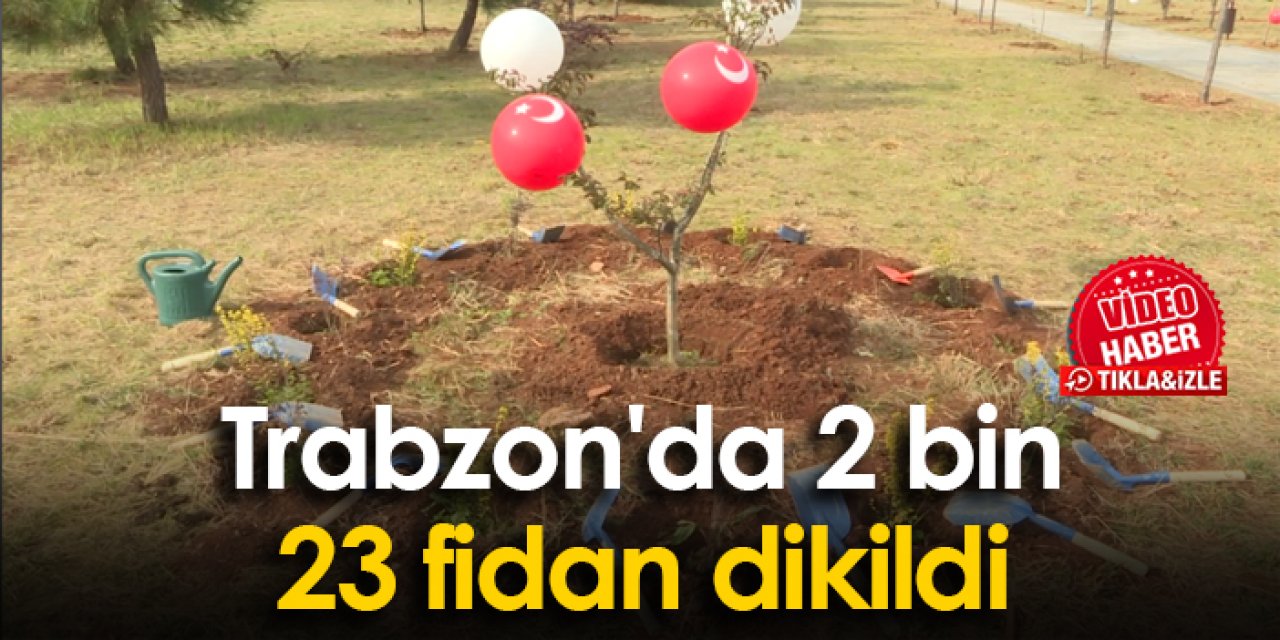 Trabzon'da 2 bin 23 fidan dikildi