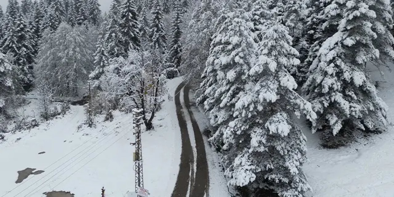 Rize, Artvin ve Bayburt'ta kar yağışı etkili oluyor