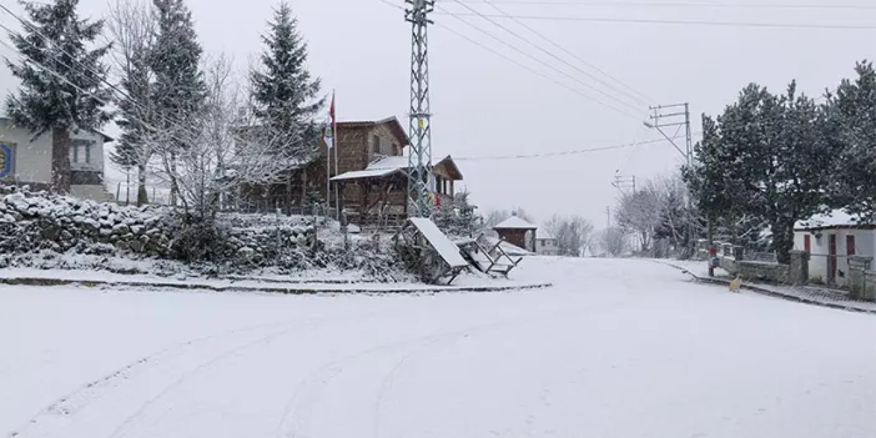 Çambaşı Yaylası'nda kar etkili oldu