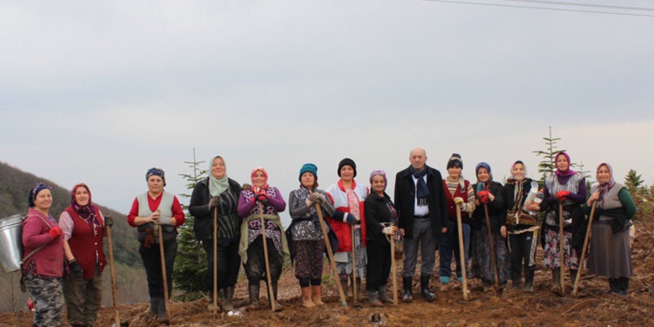 Giresun'da girişimin tohumları atıldı! "2-3 yılda meyve vermeye başlayacak"