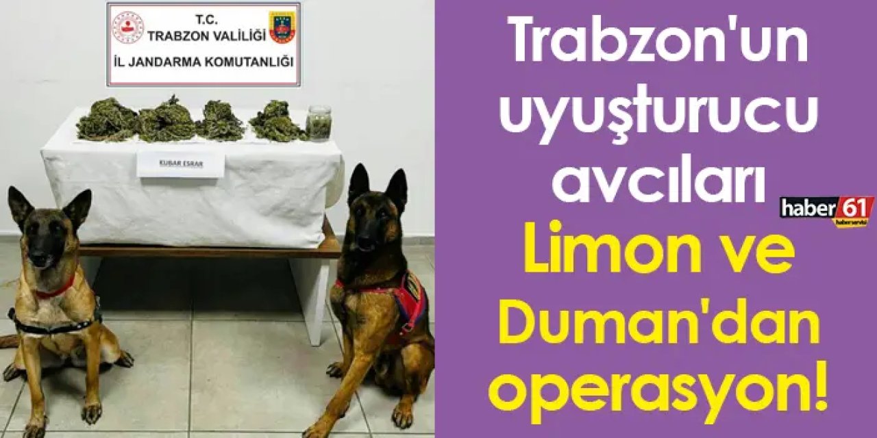 Trabzon'un uyuşturucu avcıları Limon ve Duman'dan operasyon!