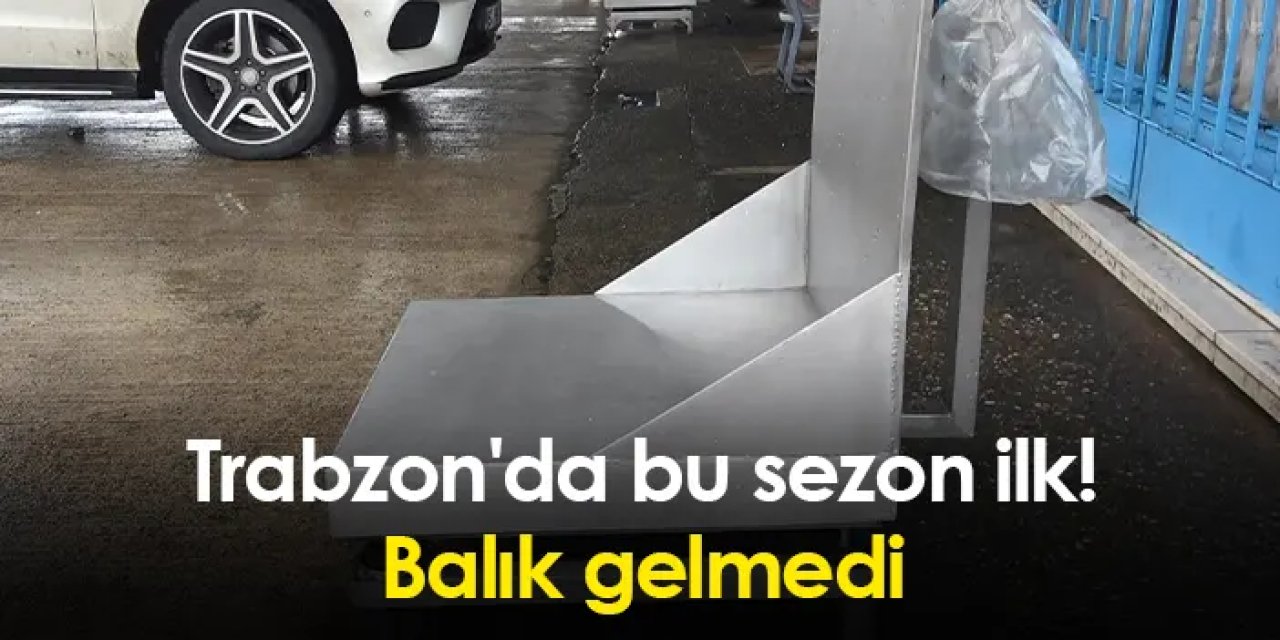 Trabzon'da bu sezon ilk! Balık gelmedi