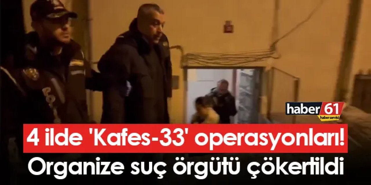 4 ilde 'Kafes-33' operasyonları! Organize suç örgütü çökertildi