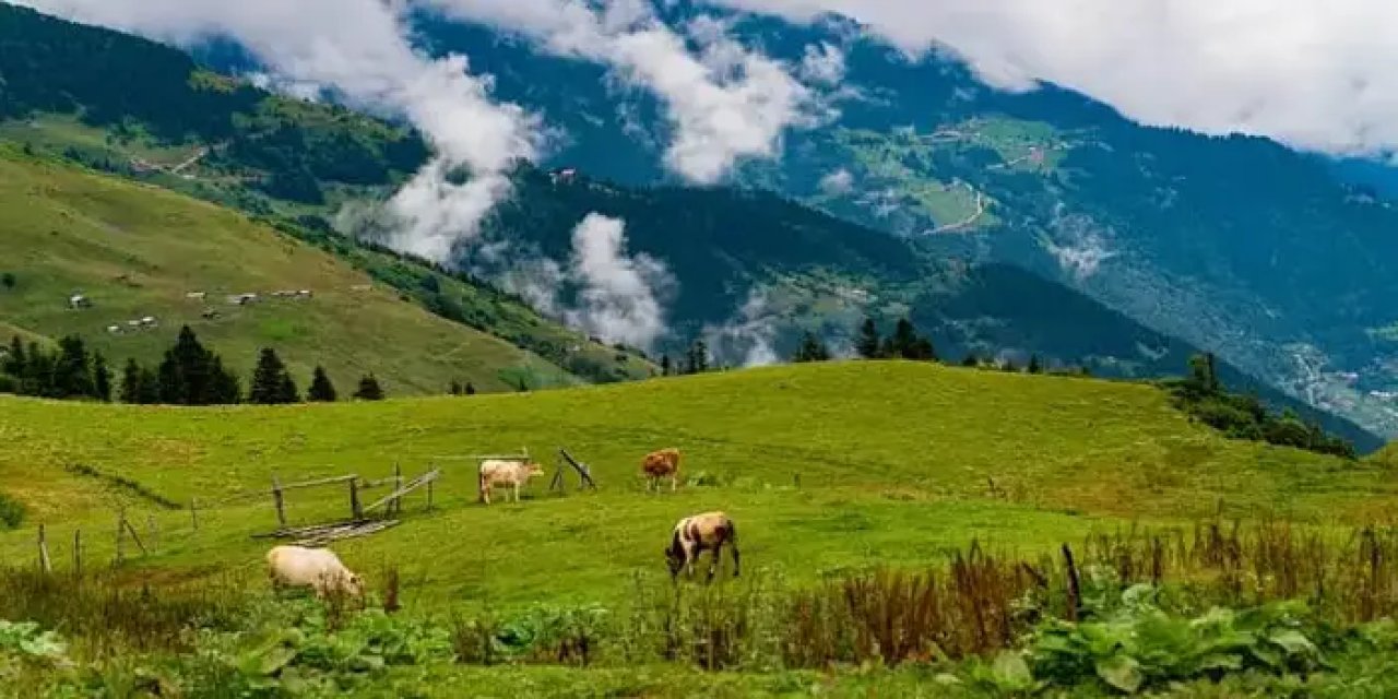 Trabzon Of ismi nereden gelir? Trabzon'un Of isminin kökeni