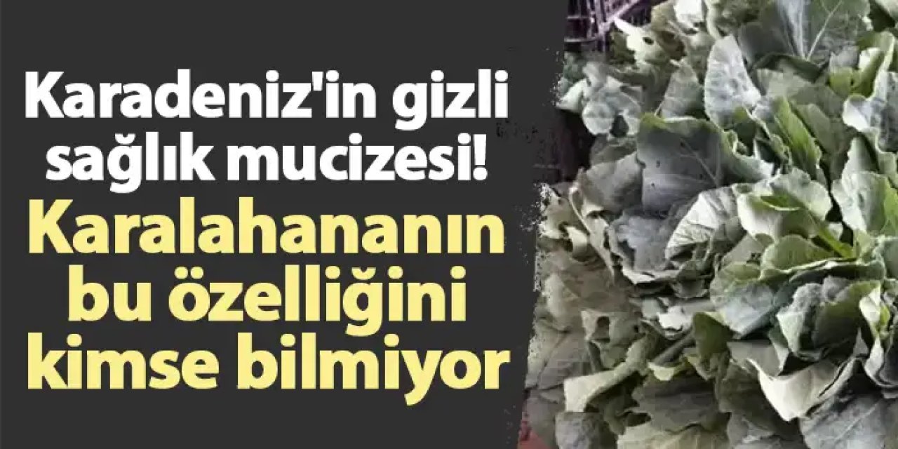 Karadeniz'in gizli sağlık mucizesi! Karalahananın bu özelliğini kimse bilmiyor