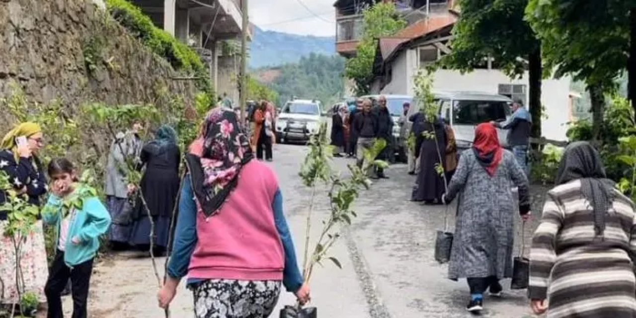 Rize'de bin adet meyve fidanı ve 300 adet ata tohumu dağıtıldı