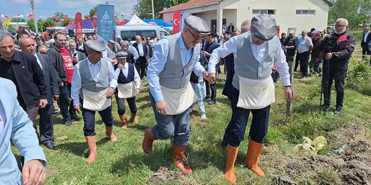 Samsun'un Bafra Ovası'nda çeltik ekimi başladı