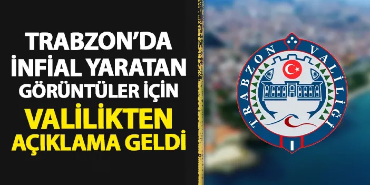 Trabzon Valiliği'nden kedi ve köpek vahşeti için açıklama!