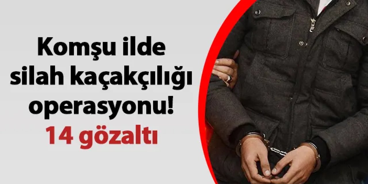 Rize'de silah kaçakçılığı operasyonu! 14 gözaltı