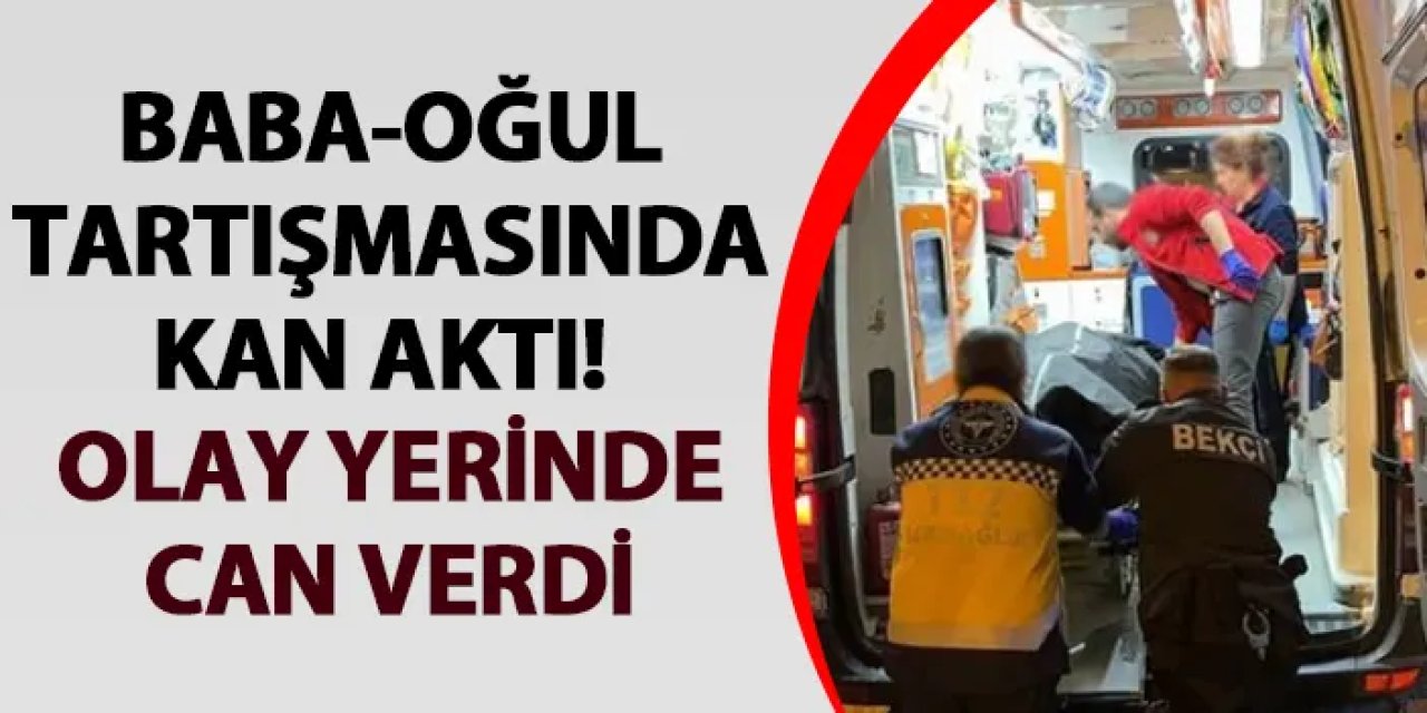 Erzurum'da baba oğul tartışmasında kan aktı