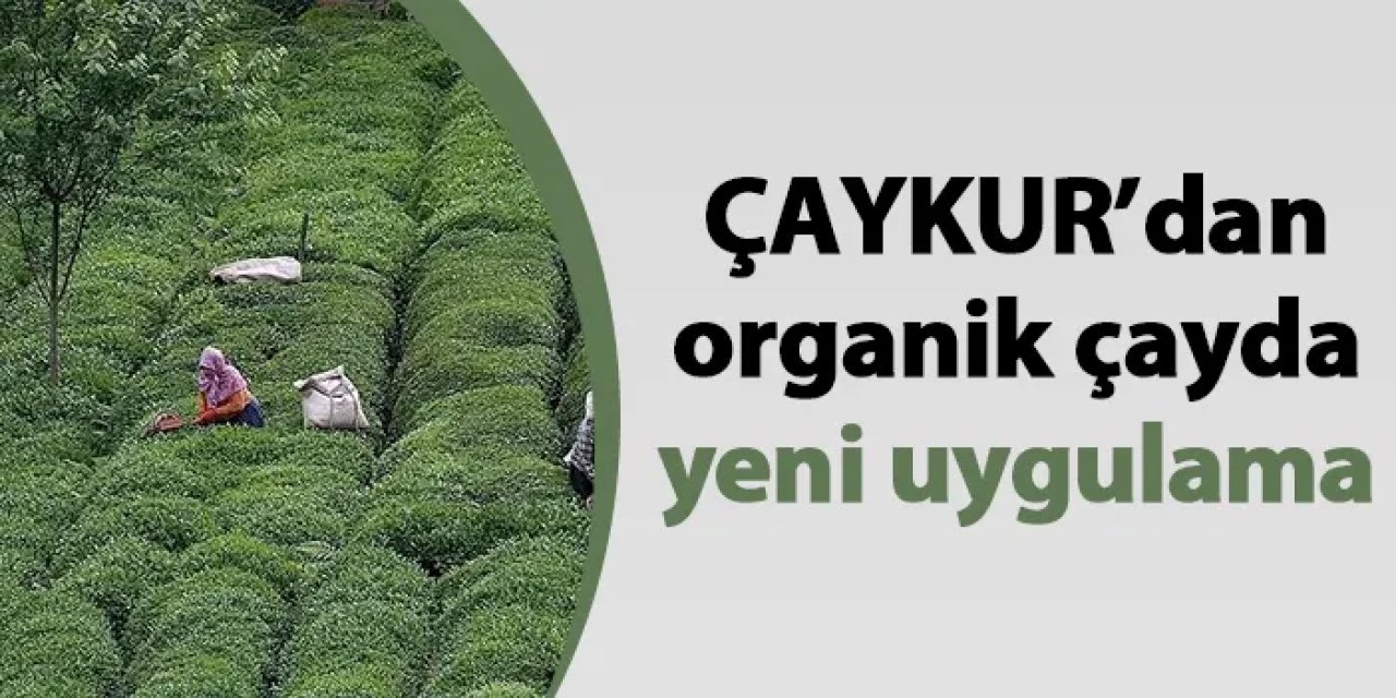 ÇAYKUR’dan organik çayda yeni uygulama