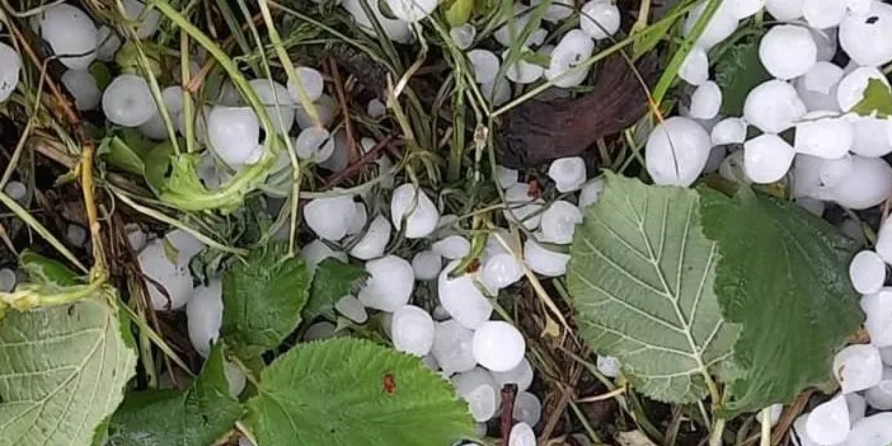 Sakarya'da dolu! Tarım arazileri zarar gördü