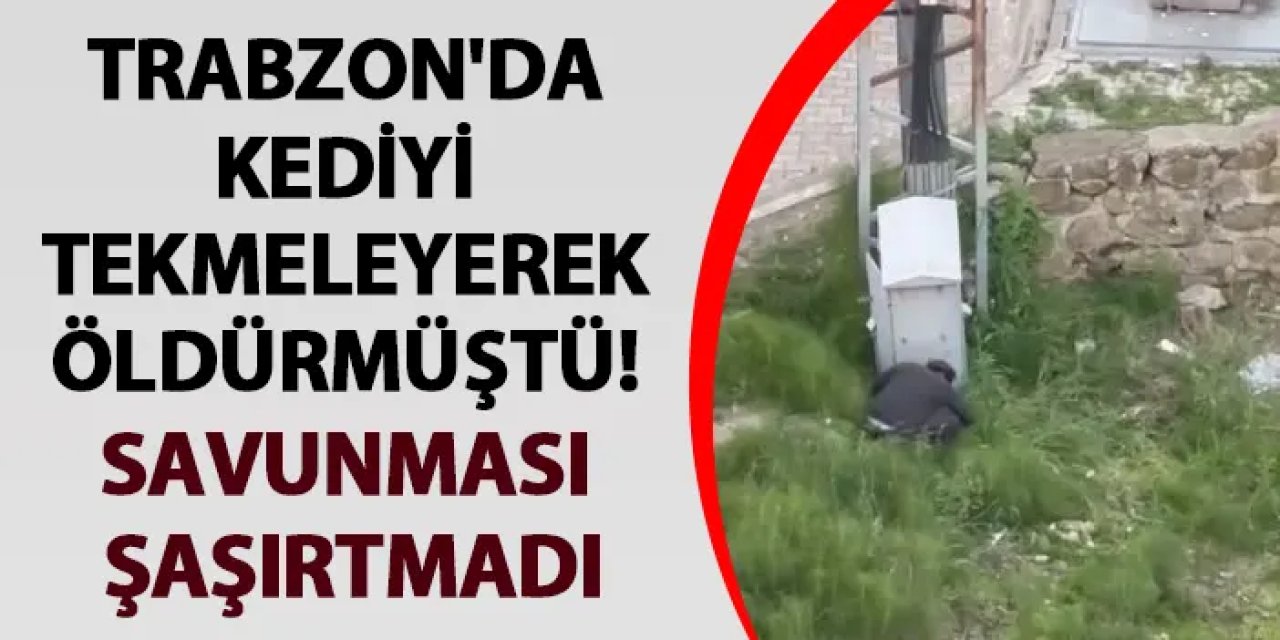 Trabzon'da kediyi tekmeleyerek öldürmüştü! Savunması şaşırtmadı