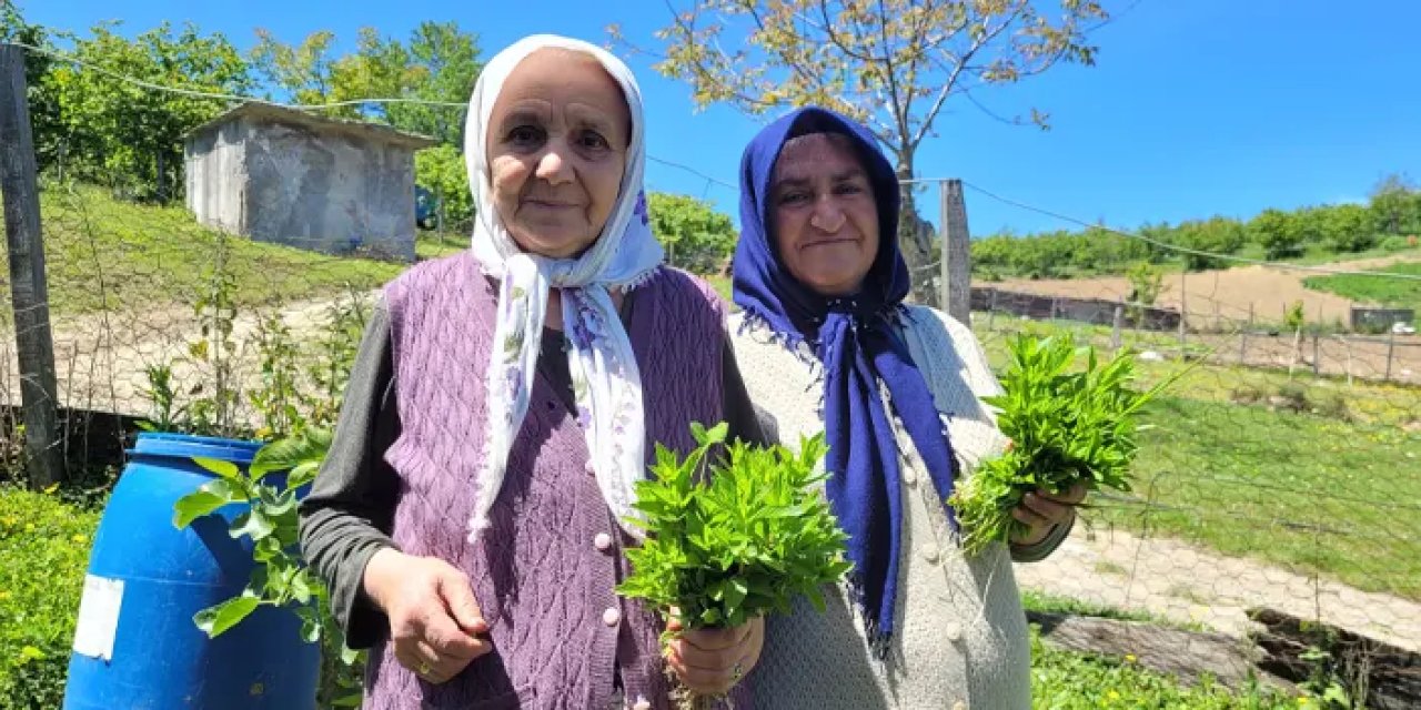 Samsun'da gelin kayınvalide dayanışması! Birlikte yetiştirip komşularına da veriyorlar