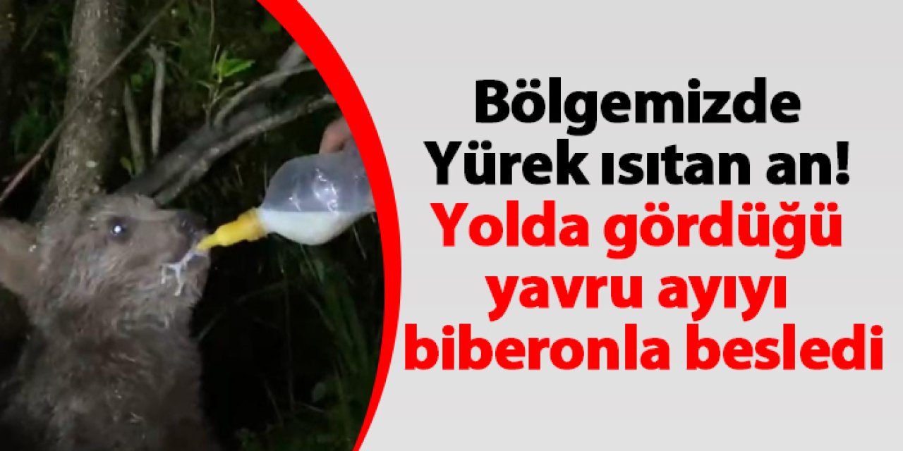 Rize'de yürek ısıtan an! Yolda gördüğü yavru ayıyı biberonla besledi