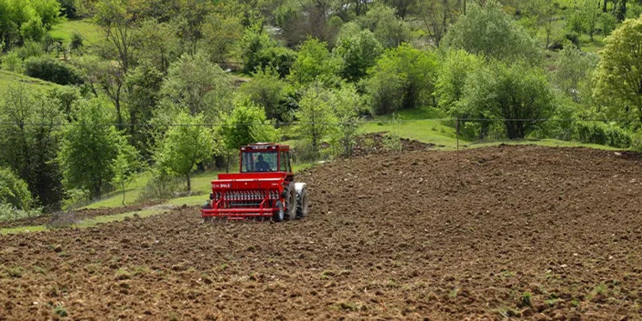 Ordu'da alım garantisi verildi! Üretici ekimine başladı