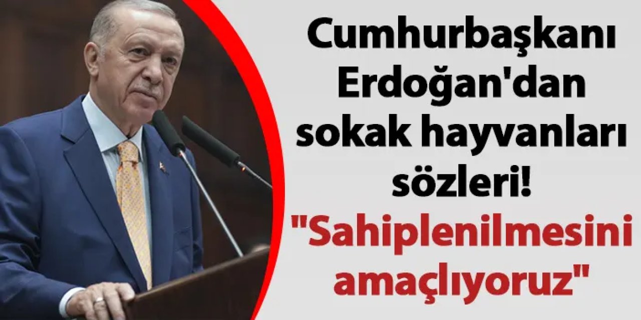 Cumhurbaşkanı Erdoğan'dan sokak hayvanları sözleri! "Sahiplenilmesini amaçlıyoruz"