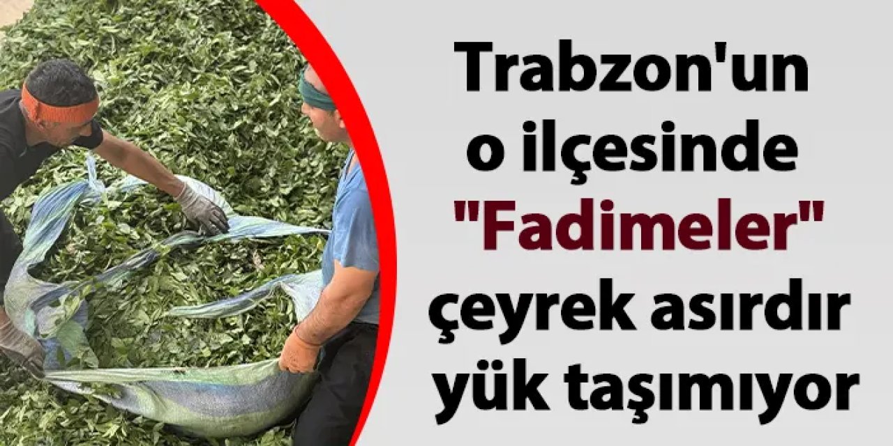 Trabzon'un o ilçesinde "Fadimeler" çeyrek asırdır yük taşımıyor