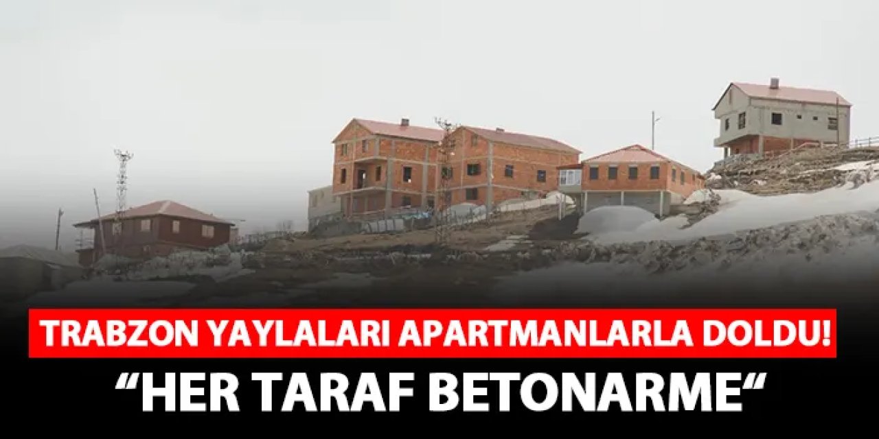 Trabzon yaylaları apartmanlarla doldu! “Her taraf betonarme“