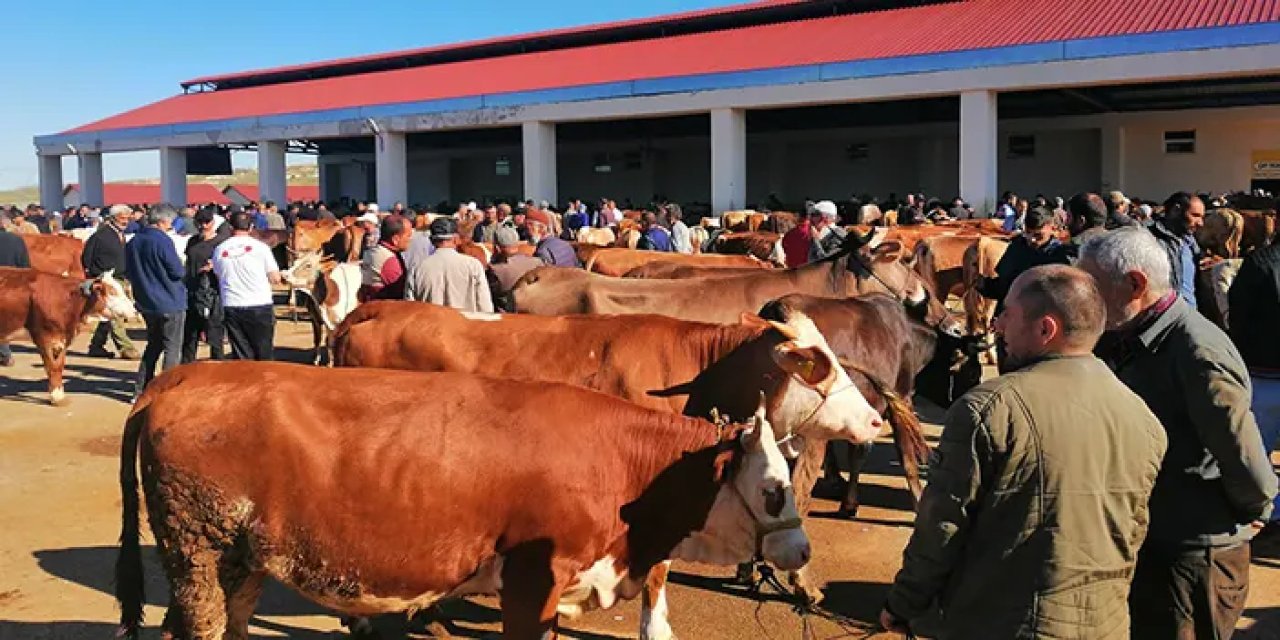 Bayburt'ta kurban bayramı hareketliliği